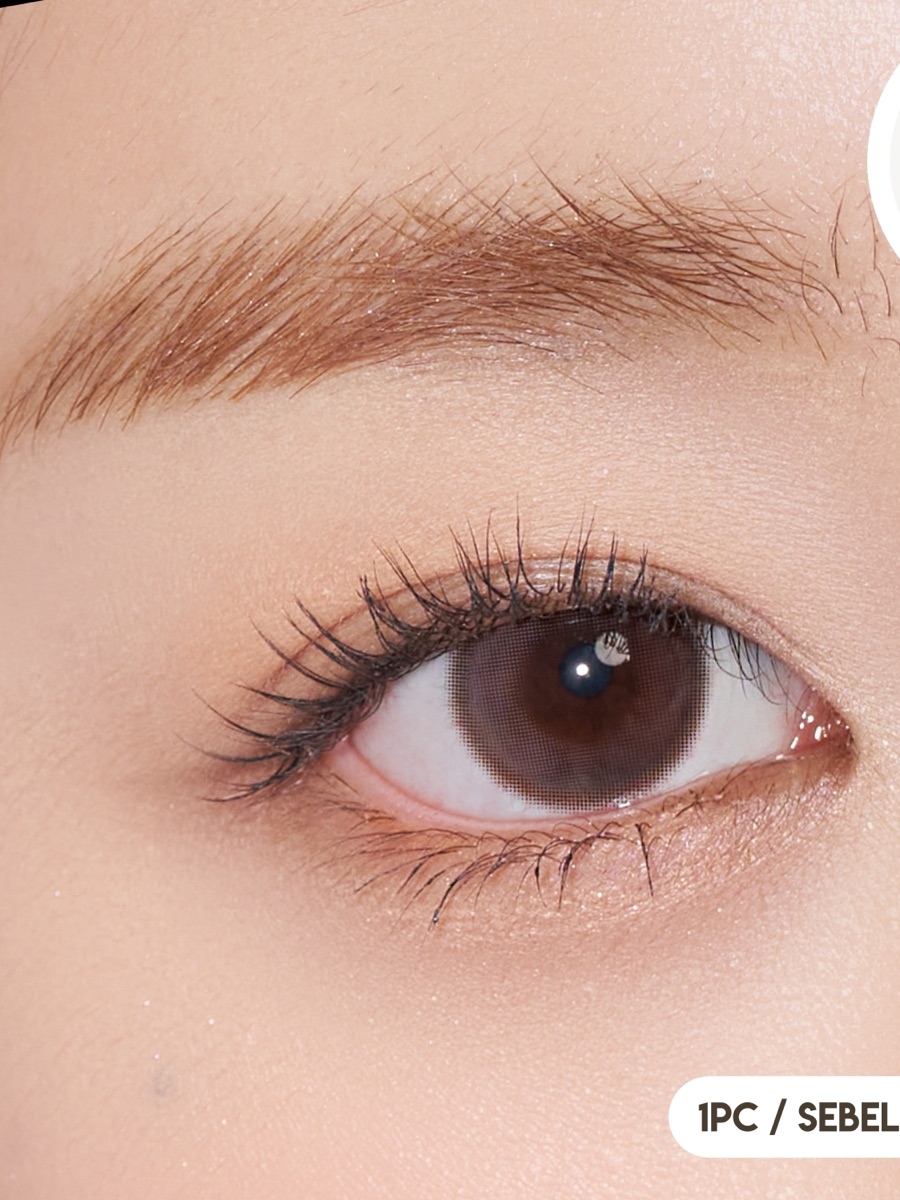ODDIS Plain Brown