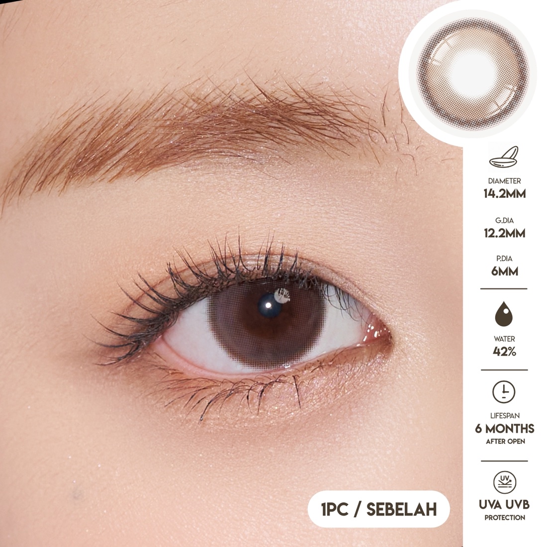 ODDIS Plain Brown